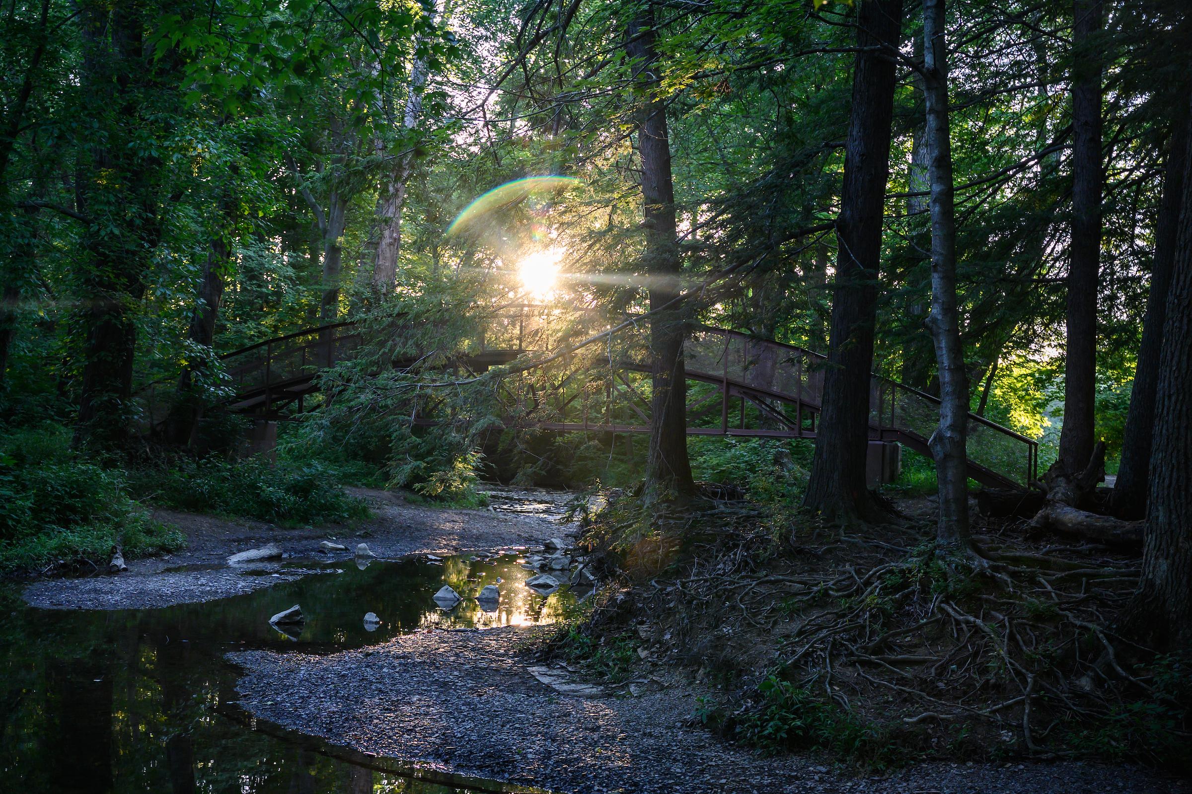 Brushy Fork bridge